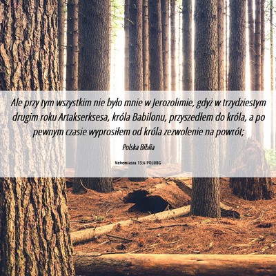 Picture 06 - Nehemiasza 13:6 POLUBG - Ale przy tym wszystkim nie było mnie w - Bible Verse Picture