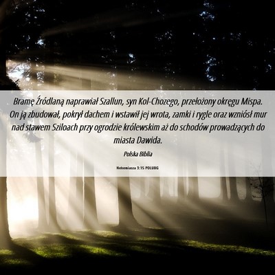 Picture 06 - Nehemiasza 3:15 POLUBG - Bramę Źródlaną naprawiał Szallun, syn - Bible Verse Picture