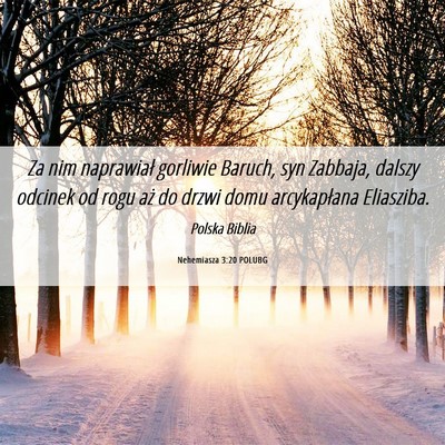 Picture 06 - Nehemiasza 3:20 POLUBG - Za nim naprawiał gorliwie Baruch, syn Zabbaja, - Bible Verse Picture