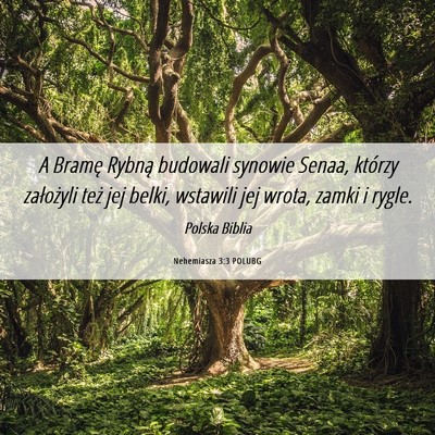 Picture 06 - Nehemiasza 3:3 POLUBG - A Bramę Rybną budowali synowie Senaa, którzy - Bible Verse Picture