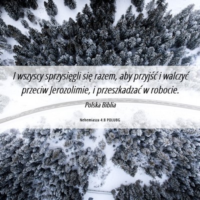 Picture 06 - Nehemiasza 4:8 POLUBG - I wszyscy sprzysięgli się razem, aby przyjść - Bible Verse Picture