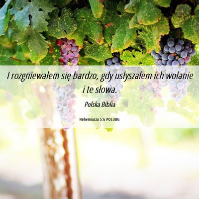 Picture 06 - Nehemiasza 5:6 POLUBG - I rozgniewałem się bardzo, gdy usłyszałem ich - Bible Verse Picture