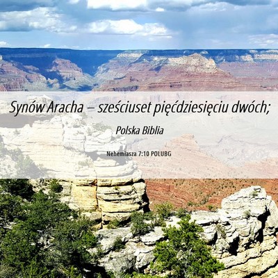 Picture 06 - Nehemiasza 7:10 POLUBG - Synów Aracha – sześciuset pięćdziesięciu - Bible Verse Picture