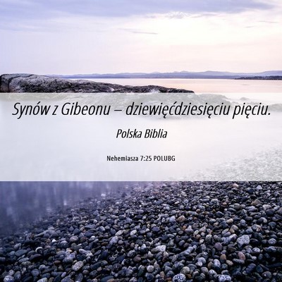 Picture 06 - Nehemiasza 7:25 POLUBG - Synów z Gibeonu – dziewięćdziesięciu - Bible Verse Picture