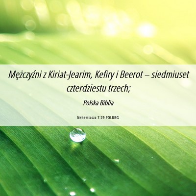 Picture 06 - Nehemiasza 7:29 POLUBG - Mężczyźni z Kiriat-Jearim, Kefiry i Beerot – - Bible Verse Picture