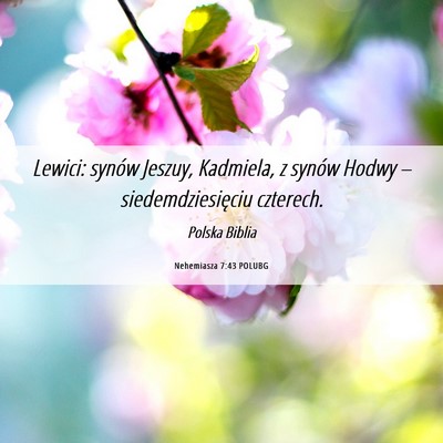 Picture 06 - Nehemiasza 7:43 POLUBG - Lewici: synów Jeszuy, Kadmiela, z synów Hodwy - Bible Verse Picture