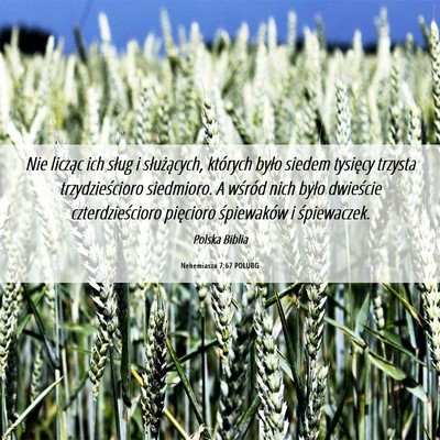Picture 06 - Nehemiasza 7:67 POLUBG - Nie licząc ich sług i służących, których - Bible Verse Picture