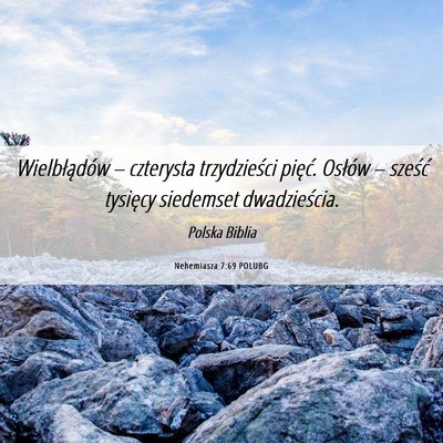 Picture 06 - Nehemiasza 7:69 POLUBG - Wielbłądów – czterysta trzydzieści pięć. - Bible Verse Picture