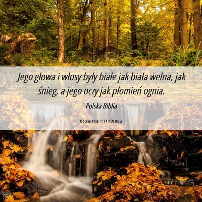Picture 06 - Objawienie 1:14 POLUBG - Jego głowa i włosy były białe jak biała - Bible Verse Picture