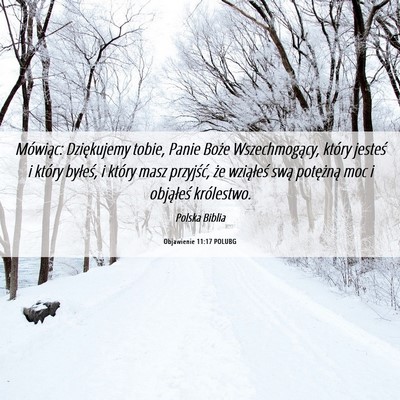 Picture 06 - Objawienie 11:17 POLUBG - Mówiąc: Dziękujemy tobie, Panie Boże - Bible Verse Picture