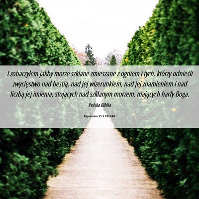 Picture 06 - Objawienie 15:2 POLUBG - I zobaczyłem jakby morze szklane zmieszane z - Bible Verse Picture
