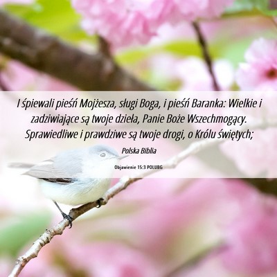 Picture 06 - Objawienie 15:3 POLUBG - I śpiewali pieśń Mojżesza, sługi Boga, i - Bible Verse Picture