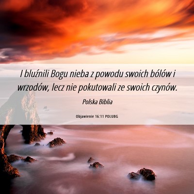 Picture 06 - Objawienie 16:11 POLUBG - I bluźnili Bogu nieba z powodu swoich bólów i - Bible Verse Picture