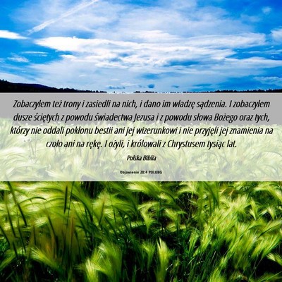 Picture 06 - Objawienie 20:4 POLUBG - Zobaczyłem też trony i zasiedli na nich, i dano - Bible Verse Picture