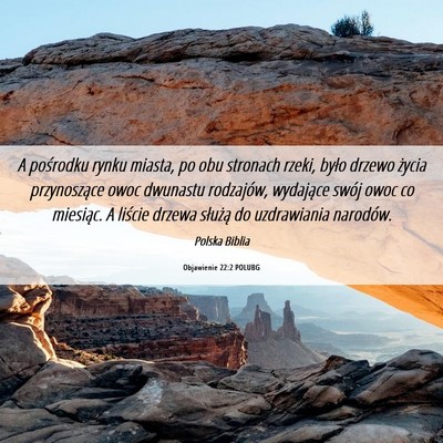 Picture 06 - Objawienie 22:2 POLUBG - A pośrodku rynku miasta, po obu stronach rzeki, - Bible Verse Picture