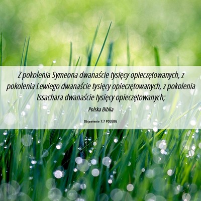 Picture 06 - Objawienie 7:7 POLUBG - Z pokolenia Symeona dwanaście tysięcy - Bible Verse Picture
