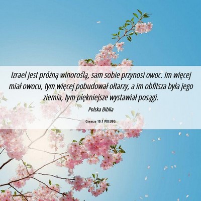 Picture 06 - Ozeasza 10:1 POLUBG - Izrael jest próżną winoroślą, sam sobie - Bible Verse Picture