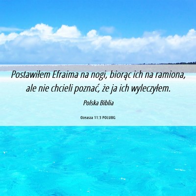 Picture 06 - Ozeasza 11:3 POLUBG - Postawiłem Efraima na nogi, biorąc ich na - Bible Verse Picture