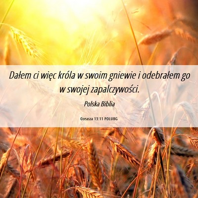 Picture 06 - Ozeasza 13:11 POLUBG - Dałem ci więc króla w swoim gniewie i - Bible Verse Picture
