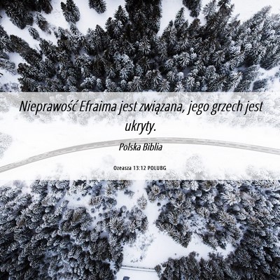 Picture 06 - Ozeasza 13:12 POLUBG - Nieprawość Efraima jest związana, jego grzech - Bible Verse Picture