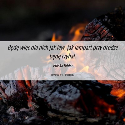 Picture 06 - Ozeasza 13:7 POLUBG - Będę więc dla nich jak lew, jak lampart przy - Bible Verse Picture