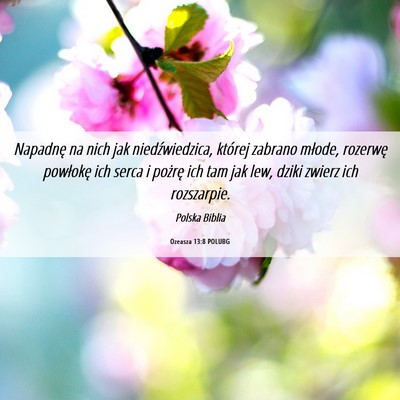 Picture 06 - Ozeasza 13:8 POLUBG - Napadnę na nich jak niedźwiedzica, której - Bible Verse Picture
