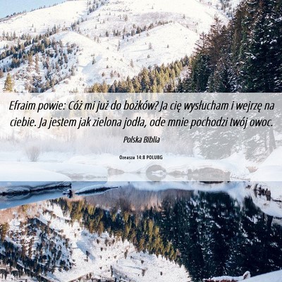 Picture 06 - Ozeasza 14:8 POLUBG - Efraim powie: Cóż mi już do bożków? Ja cię - Bible Verse Picture