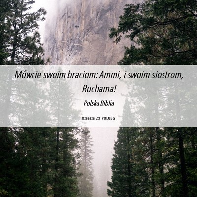 Picture 06 - Ozeasza 2:1 POLUBG - Mówcie swoim braciom: Ammi, i swoim siostrom, - Bible Verse Picture