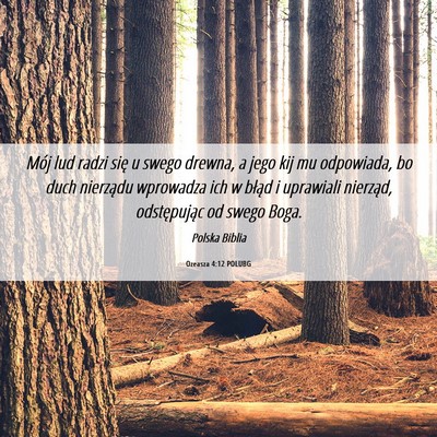 Picture 06 - Ozeasza 4:12 POLUBG - Mój lud radzi się u swego drewna, a jego kij mu - Bible Verse Picture