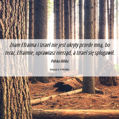 Picture 06 - Ozeasza 5:3 POLUBG - Znam Efraima i Izrael nie jest ukryty przede - Bible Verse Picture