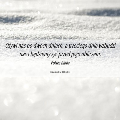 Picture 06 - Ozeasza 6:2 POLUBG - Ożywi nas po dwóch dniach, a trzeciego dnia - Bible Verse Picture