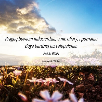 Picture 06 - Ozeasza 6:6 POLUBG - Pragnę bowiem miłosierdzia, a nie ofiary, i - Bible Verse Picture
