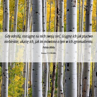 Picture 06 - Ozeasza 7:12 POLUBG - Gdy odejdą, rozciągnę na nich swoją sieć, - Bible Verse Picture
