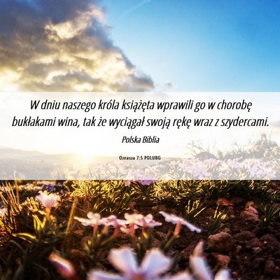 Picture 06 - Ozeasza 7:5 POLUBG - W dniu naszego króla książęta wprawili go w - Bible Verse Picture