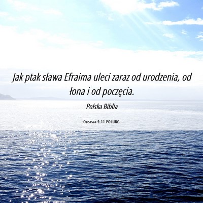Picture 06 - Ozeasza 9:11 POLUBG - Jak ptak sława Efraima uleci zaraz od urodzenia, - Bible Verse Picture