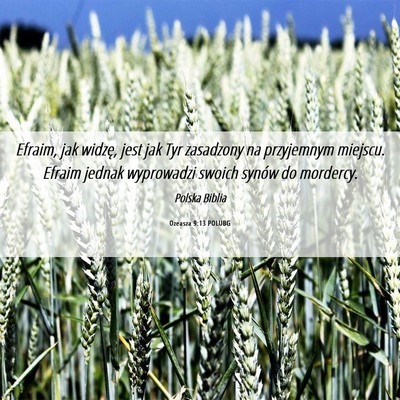 Picture 06 - Ozeasza 9:13 POLUBG - Efraim, jak widzę, jest jak Tyr zasadzony na - Bible Verse Picture