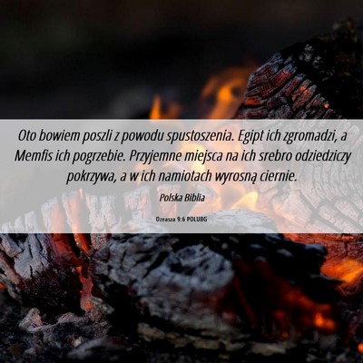 Picture 06 - Ozeasza 9:6 POLUBG - Oto bowiem poszli z powodu spustoszenia. Egipt - Bible Verse Picture