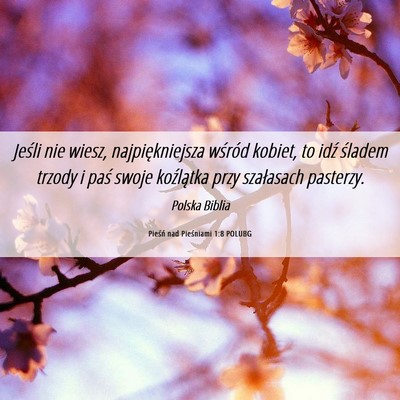 Picture 06 - Pieśń nad Pieśniami 1:8 POLUBG - Jeśli nie wiesz, najpiękniejsza wśród kobiet, - Bible Verse Picture