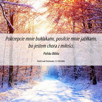 Picture 06 - Pieśń nad Pieśniami 2:5 POLUBG - Pokrzepcie mnie bukłakami, posilcie mnie - Bible Verse Picture
