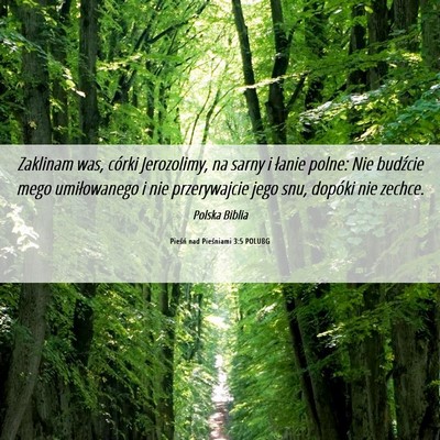 Picture 06 - Pieśń nad Pieśniami 3:5 POLUBG - Zaklinam was, córki Jerozolimy, na sarny i - Bible Verse Picture