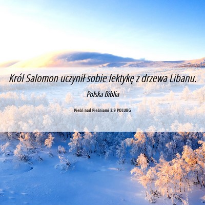Picture 06 - Pieśń nad Pieśniami 3:9 POLUBG - Król Salomon uczynił sobie lektykę z drzewa - Bible Verse Picture