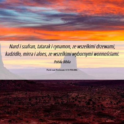 Picture 06 - Pieśń nad Pieśniami 4:14 POLUBG - Nard i szafran, tatarak i cynamon, ze wszelkimi - Bible Verse Picture