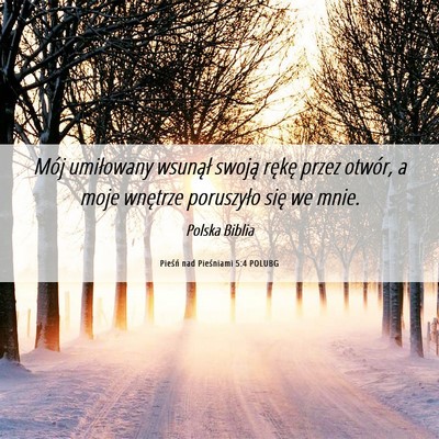 Picture 06 - Pieśń nad Pieśniami 5:4 POLUBG - Mój umiłowany wsunął swoją rękę przez - Bible Verse Picture