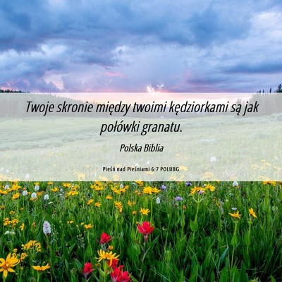 Picture 06 - Pieśń nad Pieśniami 6:7 POLUBG - Twoje skronie między twoimi kędziorkami są jak - Bible Verse Picture