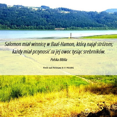 Picture 06 - Pieśń nad Pieśniami 8:11 POLUBG - Salomon miał winnicę w Baal-Hamon, którą - Bible Verse Picture