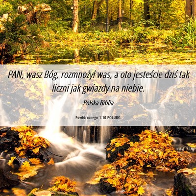Picture 06 - Powtórzonego 1:10 POLUBG - PAN, wasz Bóg, rozmnożył was, a oto jesteście - Bible Verse Picture