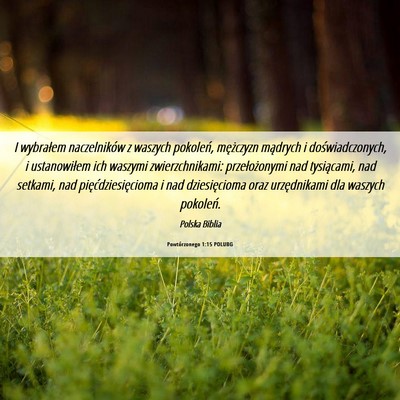Picture 06 - Powtórzonego 1:15 POLUBG - I wybrałem naczelników z waszych pokoleń, - Bible Verse Picture