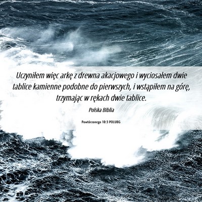 Picture 06 - Powtórzonego 10:3 POLUBG - Uczyniłem więc arkę z drewna akacjowego i - Bible Verse Picture