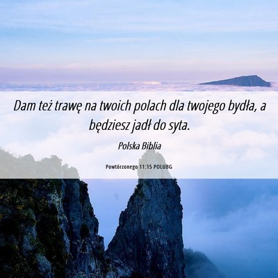 Picture 06 - Powtórzonego 11:15 POLUBG - Dam też trawę na twoich polach dla twojego - Bible Verse Picture