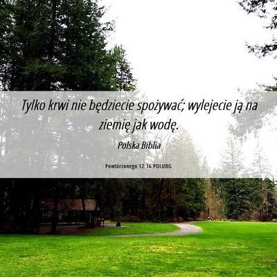 Picture 06 - Powtórzonego 12:16 POLUBG - Tylko krwi nie będziecie spożywać; wylejecie - Bible Verse Picture